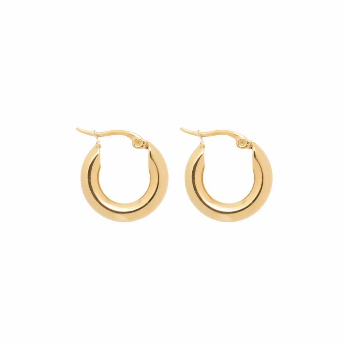 Brinco Noble de Argola Tubo Lele g Lenogue Ouro