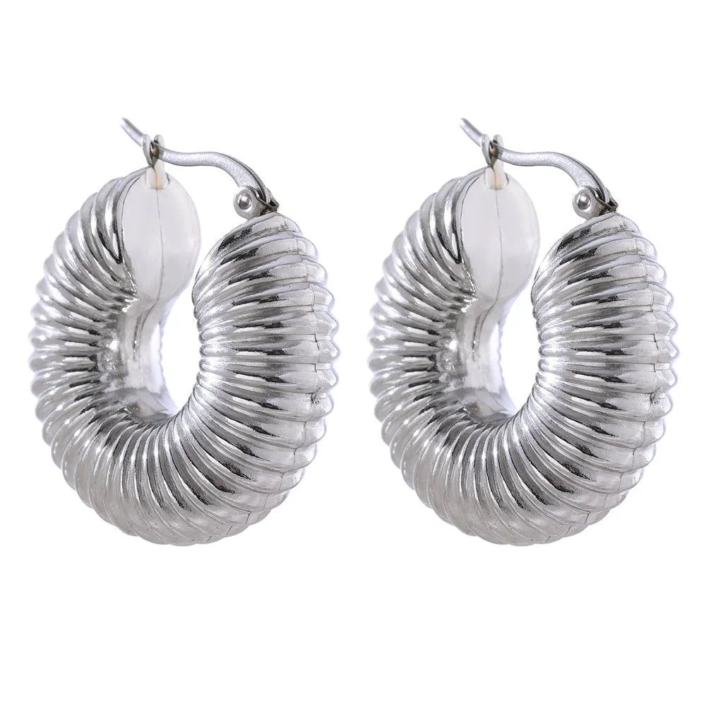 Brincos Glamorous de Argolas Bold Ziza Lenogue Prata