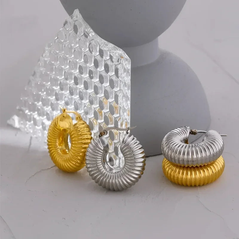 Brincos Glamorous de Argolas Bold Ziza Lenogue
