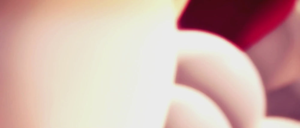 BANNER HORIZONTAL LENOGUE (1920 x 820 px) (1)_3112d557-ff63-4299-b7de-7a95601f8975

